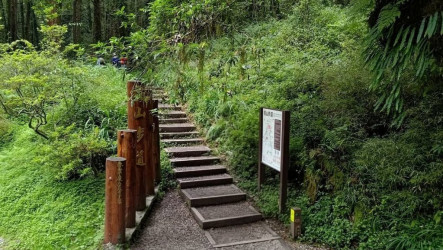 阿里山塔山步道眠月線共線路段施工  9月開放通行