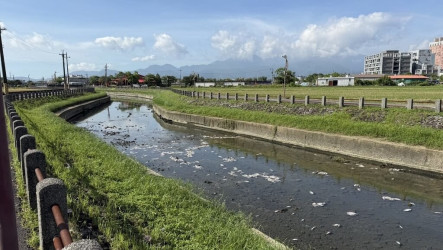 疑水體溶氧量低　宜蘭打那岸排水現千隻死魚