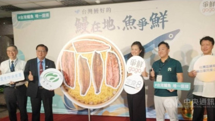 鰻苗變多  漁業署結合通路推國產鰻魚料理