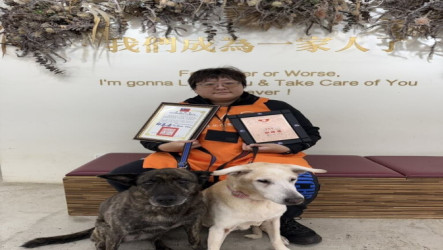 北市動物之家志工守護浪浪近20年 3000小時不離不棄