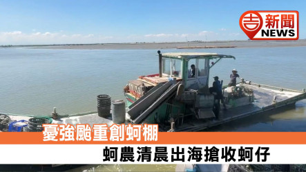 憂強颱重創蚵棚 蚵農清晨出海搶收蚵仔