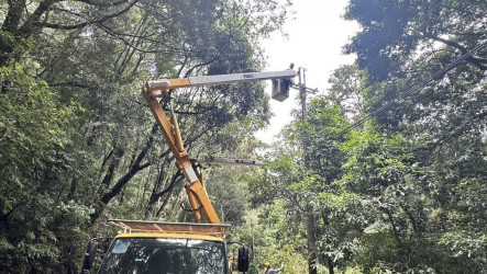 颱風過後台中停電戶近全數復電　僅剩零星偏遠山區