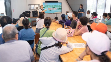 桃園候鳥季登場　跨季活動串聯夏冬