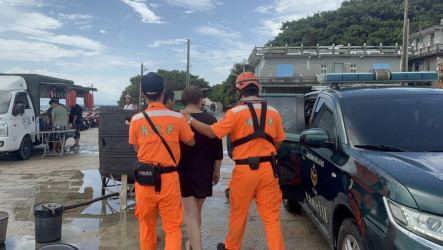 小琉球2遊客觸摸海龜遭逮　依違反野保法送辦