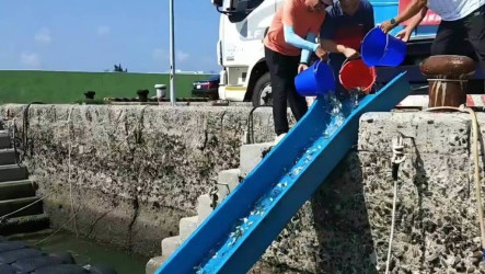 爭取國軍敦親睦鄰經費　澎湖區漁會放流10萬尾魚苗