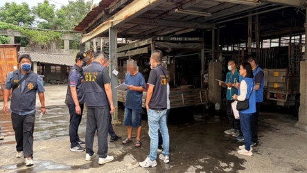 雲林羊肉戴奧辛超標　飼主疑偽造健康聲明書遭辦