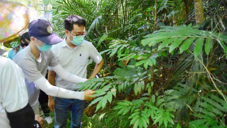 台東農改場助酒麴作物保種  傳承原民文化