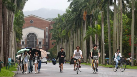 台大分發入學滿招1438人　資工系錄取門檻降12級分