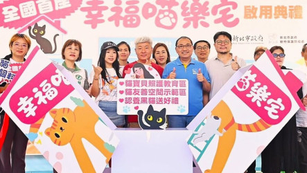 新北打造「幸福喵樂宅」　認養前體驗從貓咪角度重看自己的家