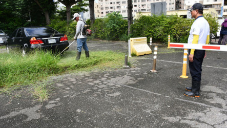 停車場鬼月不宜除草引議論　彰化市長闢謠、將懲處承辦人員