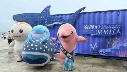 海保署貨櫃打造沉浸式海洋空間　鯨鯊巡迴展首站游高雄