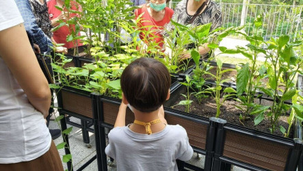 老五老世代交流活動　孩童長輩接力照顧植栽