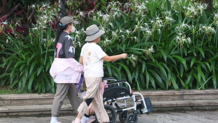 鐘點移工計畫再開放試辦申請　拚全台22縣市有服務