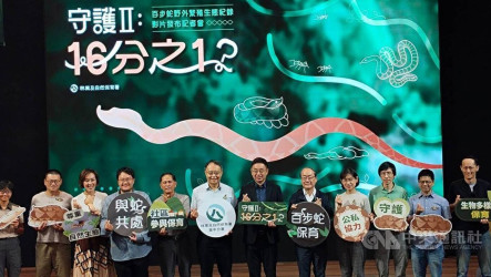 林保署3年內2度直擊百步蛇野外繁殖  新影片10月國際發表