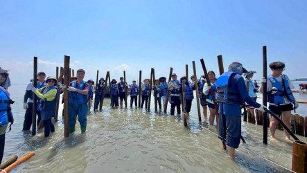 保護「移動的國土」外傘頂洲　百人以廢棄蚵架固沙