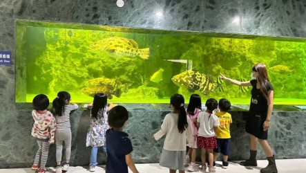 政府帶頭落實員工托育　設166處職場互助教保中心