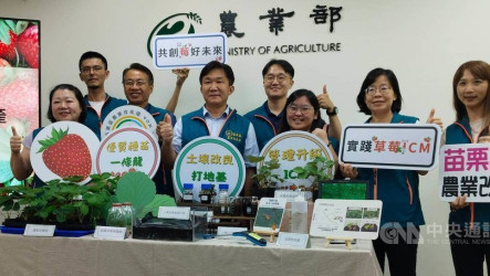 苗栗農改場助草莓抗天候逆境　農友收入增2.5倍