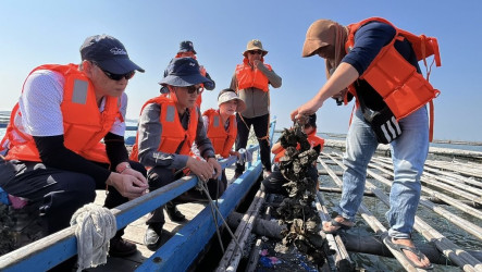 8月豪雨淡化海水重創雲林牡蠣  藍綠出海現勘