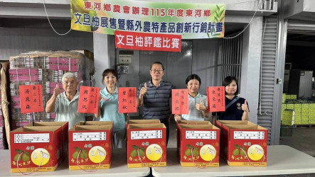 台東東河文旦柚評鑑　農友曾紅秋奪金