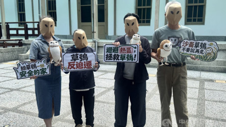 台南社大觀測沙崙農場草鴞　籲開發案迴避生態熱區