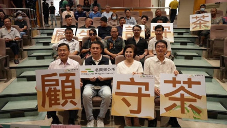 南投名間茶菁價跌　農糧署補助收購