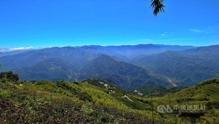 秋高氣爽雲嘉五連峰適合健行　品嚐咖啡與高山茶