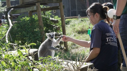 展演動物訓練避緊迫　用哨音、目標棒引導從配合到自願