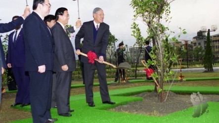 李登輝手植榕樹染褐根病移除　護樹團體質疑坐視枯死