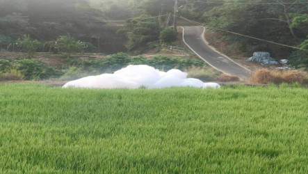 竹縣寶山野溪現不明泡沫　環保局採樣追查污染源