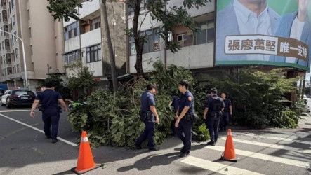 台中西屯瞬間強風吹倒路樹　警迅速出動排除障礙