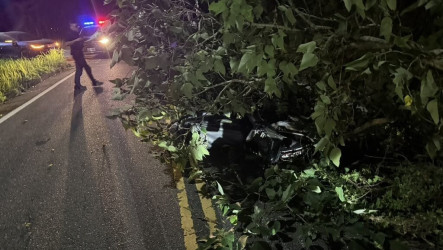 颱風薔琵來襲　花蓮2大學生騎乘機車撞倒臥路樹受傷