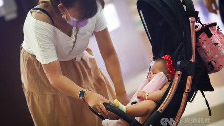 115年非典工作者占比14年新低　有子女婦女勞參率逼近8成