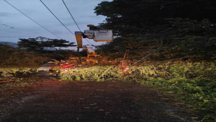 颱風薔琵釀14.6萬戶停電　台電跨區支援加速搶修