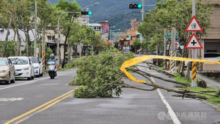 路樹傾倒影響供電　宜蘭約9000戶待復電