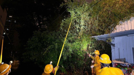 颱風薔琵全台逾28萬戶曾停電　已復電約8成