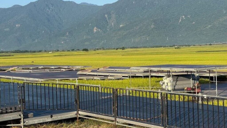 颱風薔琵攪局　池上秋收稻穗藝術節17年來首度取消