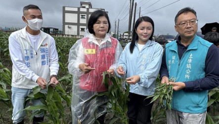 颱風薔琵釀農作物損害　雲林擬爭取全品項救助