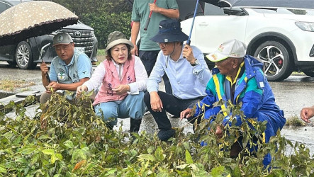 颱風薔琵重創雲林農作　劉建國邀農糧署勘災促速救助