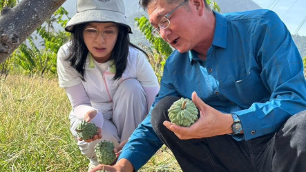 陳瑩關心果園漁港損失  吳秀華釋迦園勘災