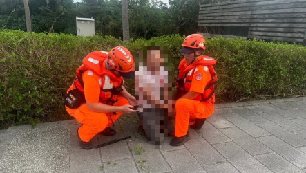 追捕失聯越南籍移工  2海巡人員遭蜂螫傷無生命危險