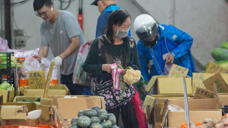 颱風薔琵致農損逾1.3億元　雲林占8成、蒜頭最傷