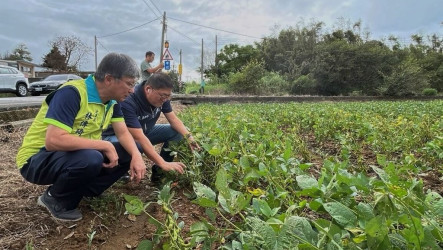 颱風薔琵桃園農損估400萬元　竹圍漁港北堤受損搶修