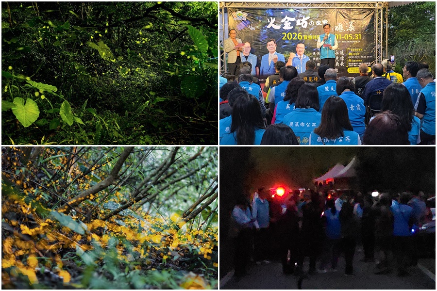 影音/火金姑的故鄉螢光閃耀 小礁溪賞螢季啟動