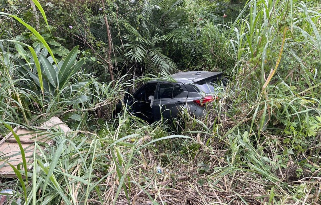 台東鹿野自小車衝落路旁斜坡！　駕駛送醫