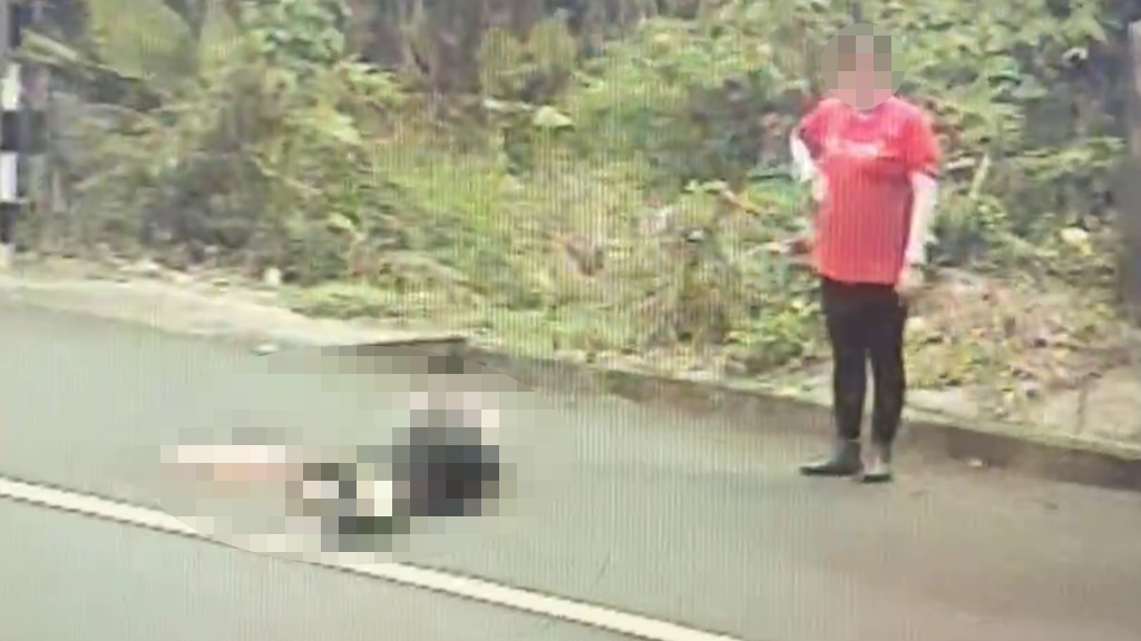 台南南化驚傳命案！婦人倒路旁送醫不治　警查出是丈夫開車輾過