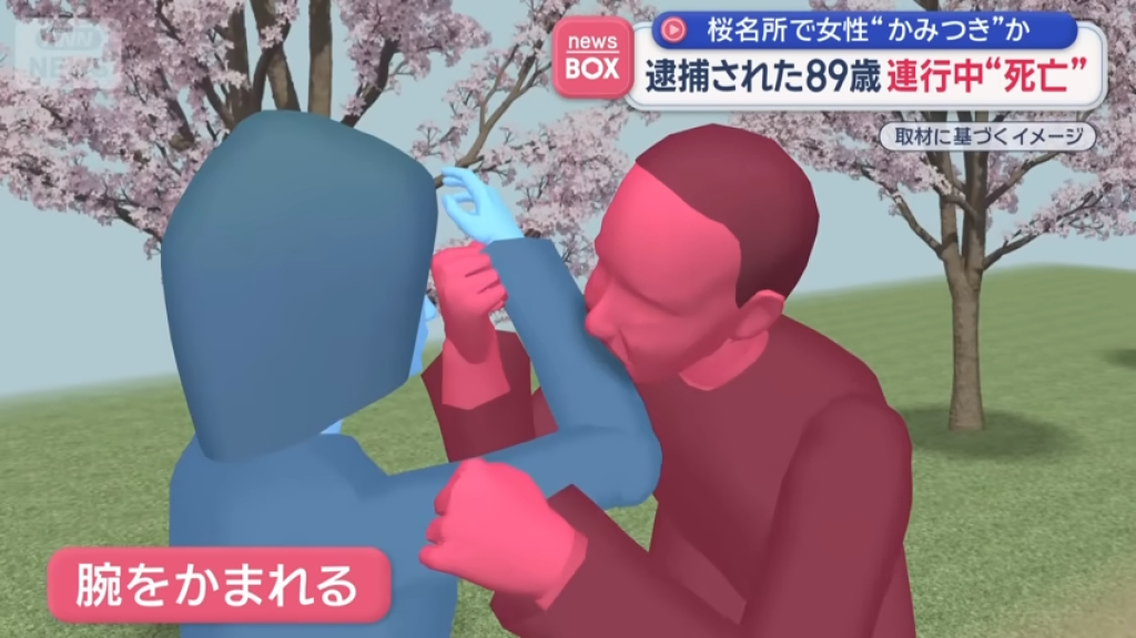 影／離奇命案！日本89歲翁賞櫻咬傷40歲女　被逮後「突坐地不動」送醫90分鐘後不治