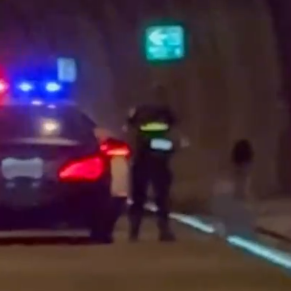 國道6號隧道內警方攔停可疑車查獲通緝犯　女乘客受驚嚇不知所措坐路面