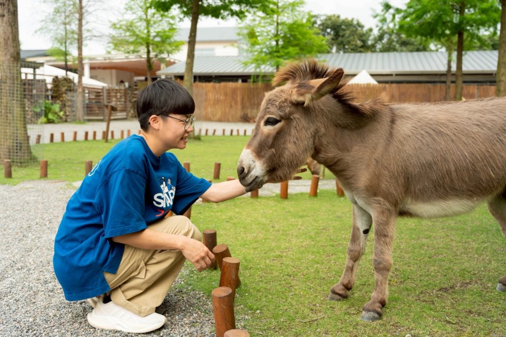 綠舞攜手斑比山丘推夏日住房　每人2272元起療癒宜蘭行