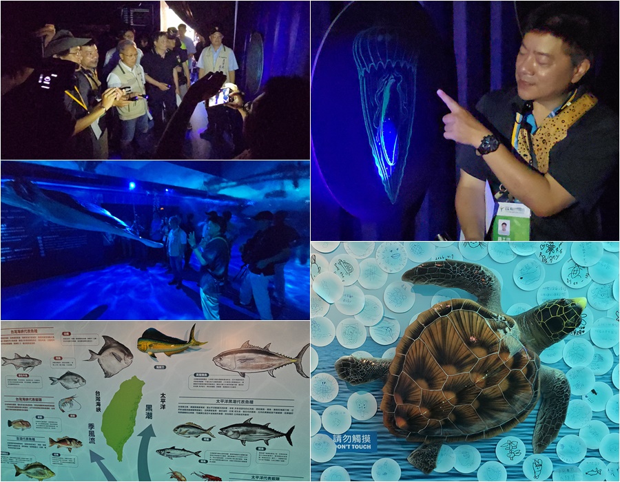 影音/從無光帶到透光帶 綠博海洋館引人探索海中世界的無奇不有