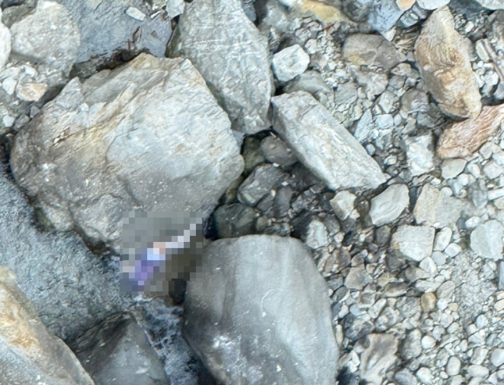 橋面距溪底115公尺！男子雙龍吊橋墜落　警義消救援11小時尋獲遺體